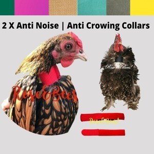no crow rooster collars