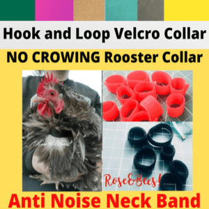 Velcro Crow Reduction Collar | Handmade Quiet Roosters Gobble Hobbler Turkey | Cockerel | Anti Noise Band | Neck Shamos bantam Maran Polish