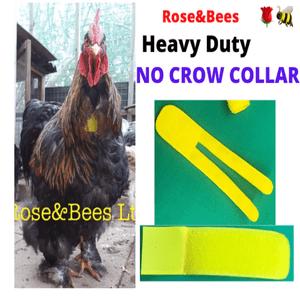 ROOSTER CROW collar Neck BAND | Cockerel Collar | Anti Noise Rooster Aid | Crow Band | Quiet Rooster | Crowing Poultry | No Loud Rooster Turkey