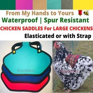 Chicken Saddles