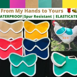 CHICKEN SADDLE | Chicken Apron| Hen protector | Poulet | Henchen | Chicken WINGS Protection | Waterproof Canvas| Bantam | S M L Cockerel