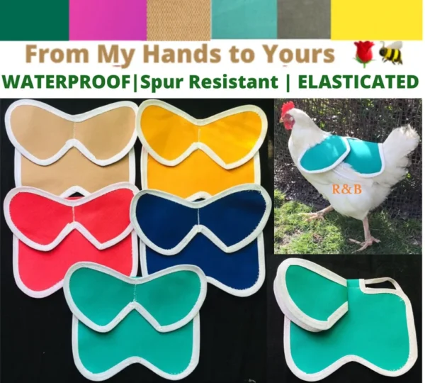 CHICKEN SADDLE | Chicken Apron| Hen protector | Poulet | Henchen | Chicken WINGS Protection | Waterproof Canvas| Bantam | S M L Cockerel