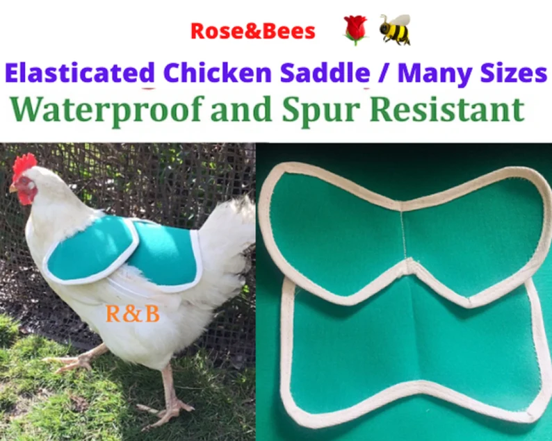 CHICKEN SADDLE | Chicken Apron| Hen protector | Poulet | Henchen | Chicken WINGS Protection | Waterproof Canvas| Bantam | S M L Cockerel - Image 6