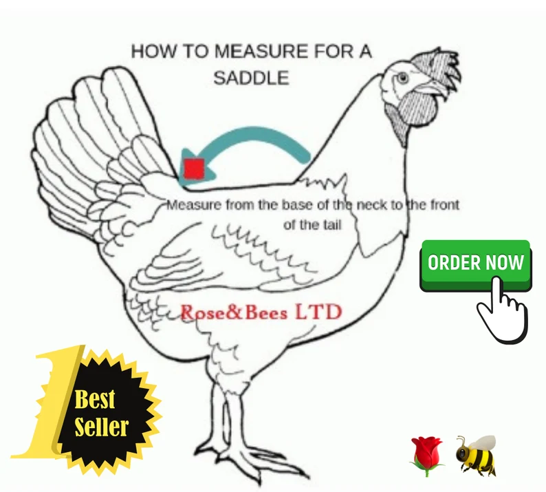 CHICKEN SADDLE | Chicken Apron| Hen protector | Poulet | Henchen | Chicken WINGS Protection | Waterproof Canvas| Bantam | S M L Cockerel - Image 7
