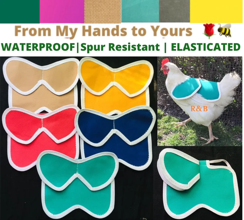 CHICKEN SADDLE | Chicken Apron| Hen protector | Poulet | Henchen | Chicken WINGS Protection | Waterproof Canvas| Bantam | S M L Cockerel
