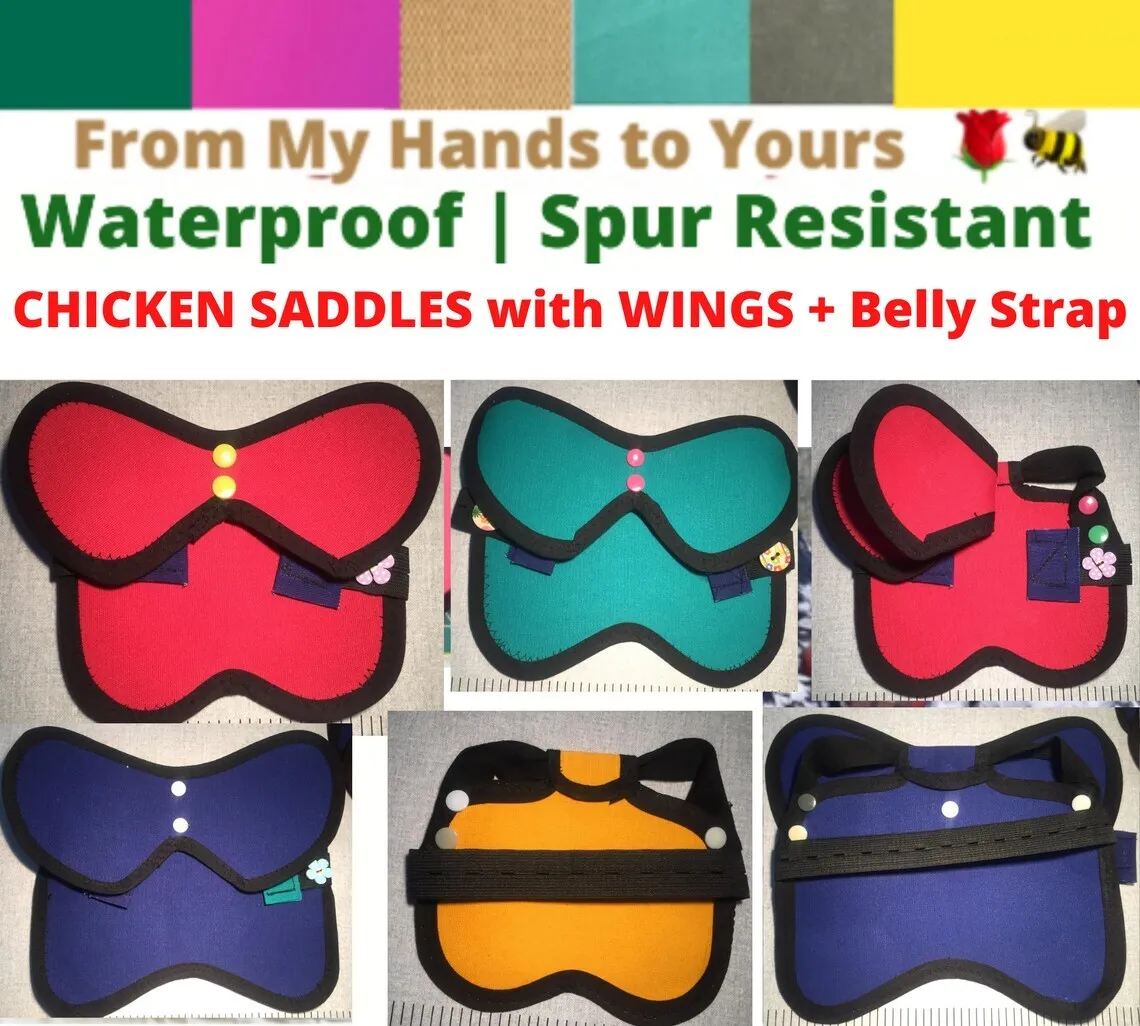 Chicken Saddle with Wings and  Belly Strap | Hen Apron | Chicken Jacket | Poultry Back Protector | Adjustable snaps | Waterproof | Spur Resistant