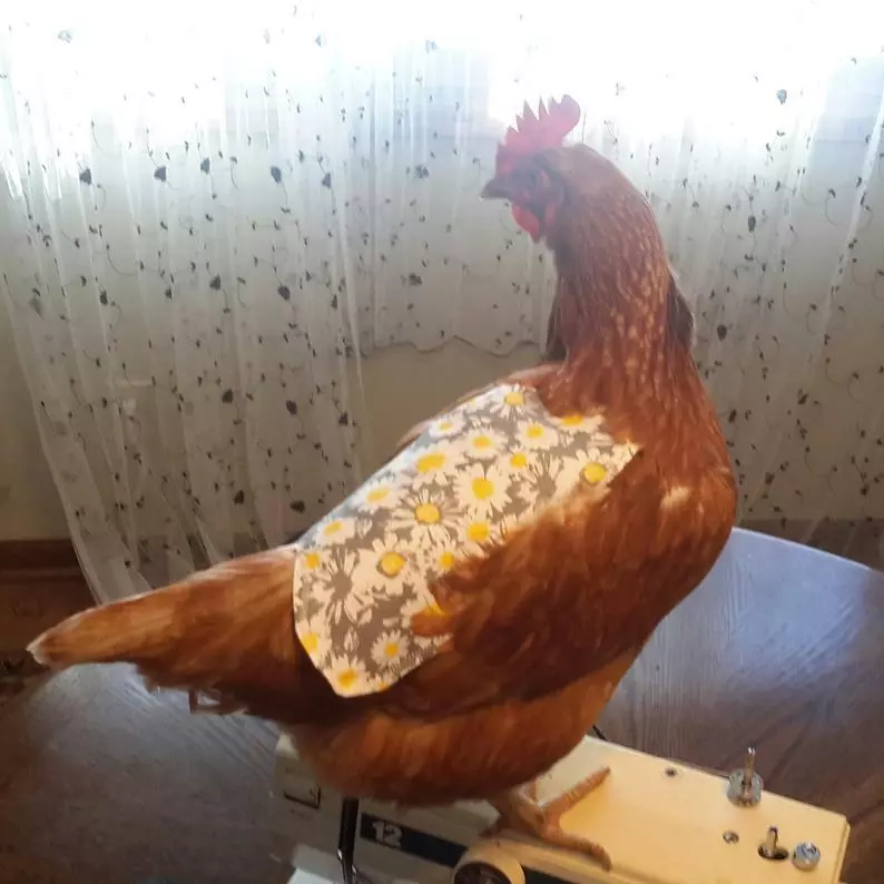 Elasticated Chicken Saddle Apron Hen Feather Protector Ducks Poultry | Egg Layer - Image 2