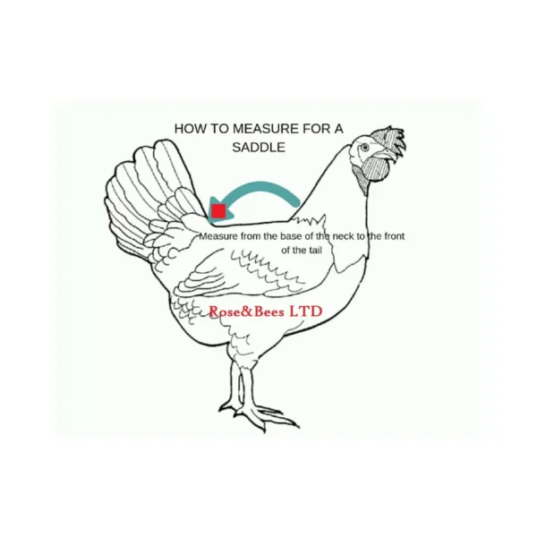 Elasticated Chicken Saddle Apron Hen Feather Protector Ducks Poultry | Egg Layer - Image 5