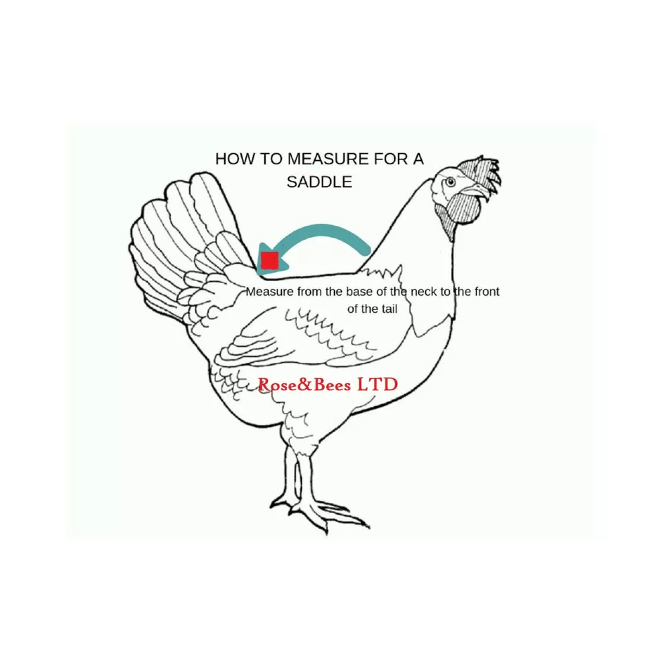 Elasticated Chicken Saddle Apron Hen Feather Protector Ducks Poultry | Egg Layer - Image 5