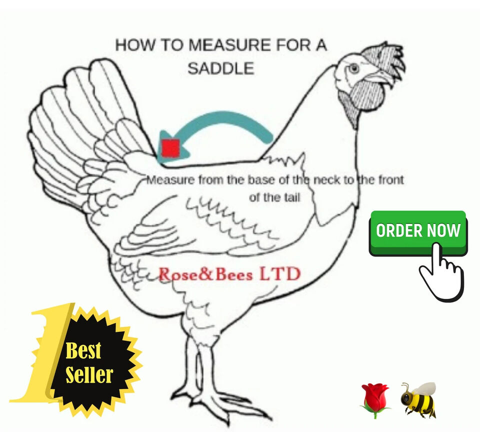CHICKEN SADDLE | Hen Back Protector | POULET WING PROTECTION | Poultry Apron - Image 2