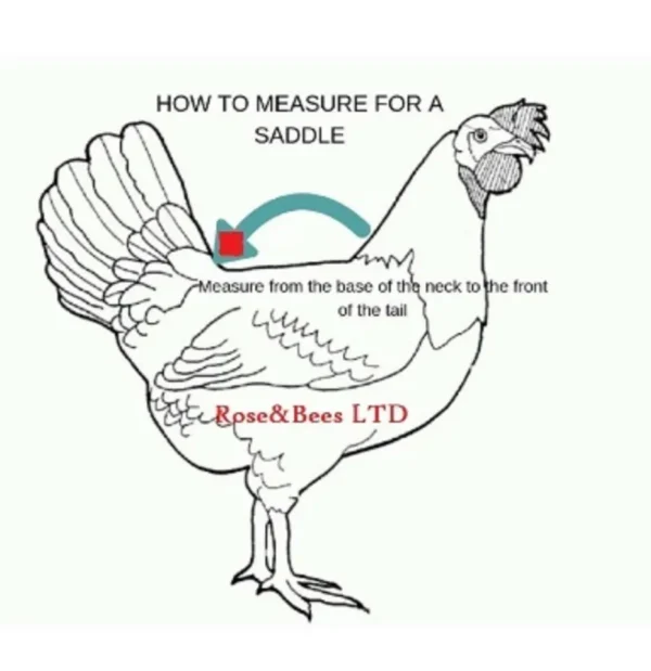 5X Chicken Saddle Apron Hen Feather Protector Jacket Coat Snaps Bantam ORPINGTON - Image 4