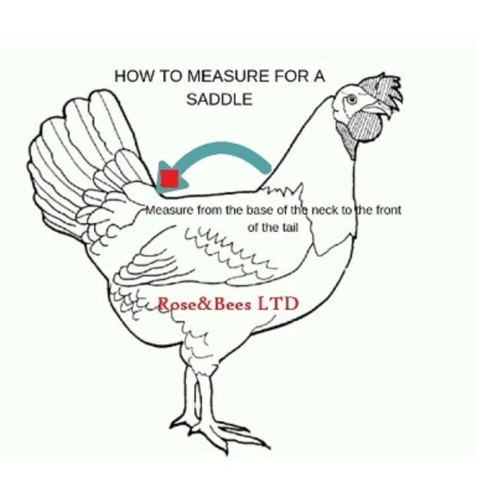 5X Chicken Saddle Apron Hen Feather Protector Jacket Coat Snaps Bantam ORPINGTON - Image 4