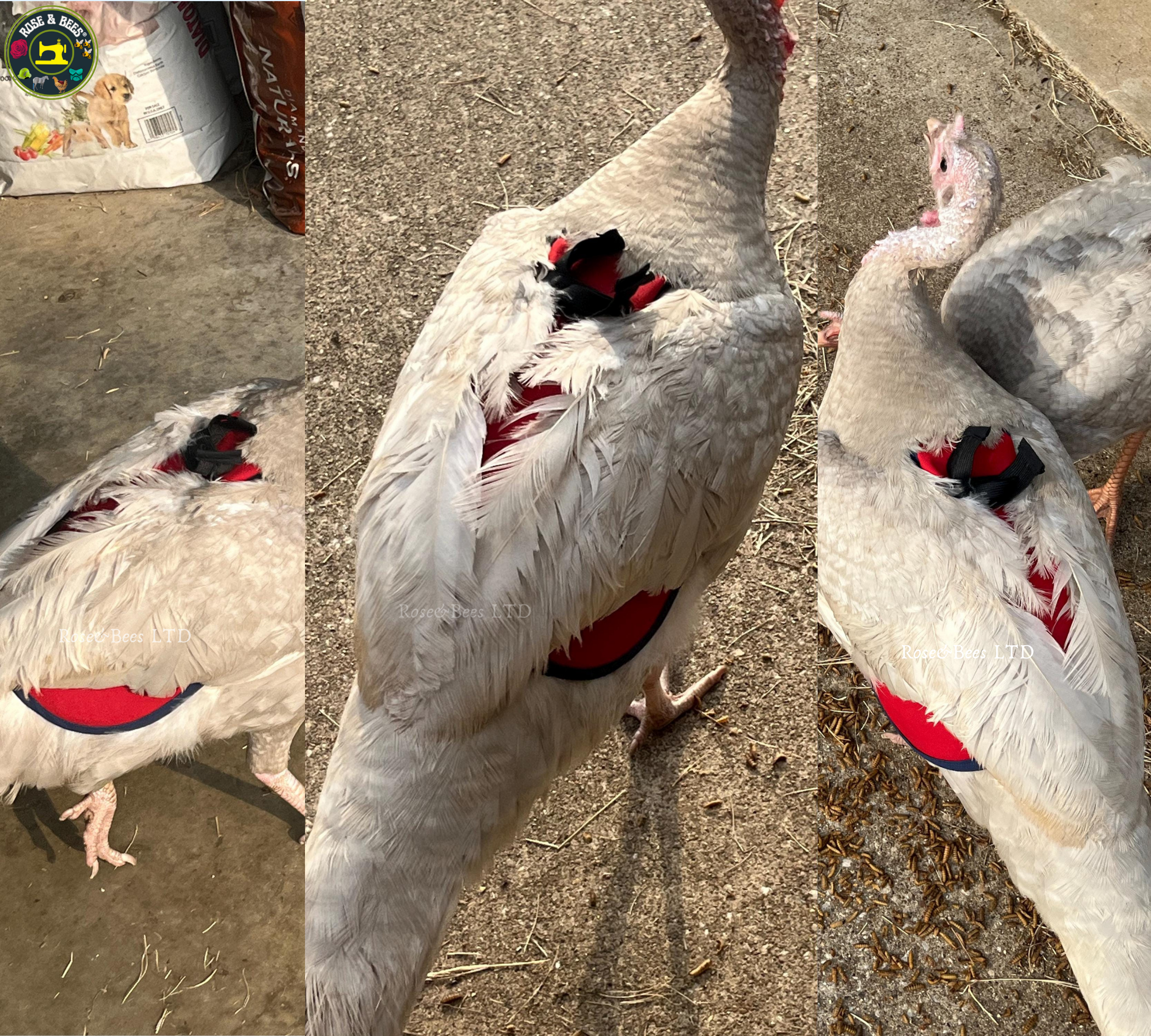 TURKEY SADDLE | BASIC | Fleece | Towel Lined | WATERPROOF CANVAS |POULTRY Mating - Image 22