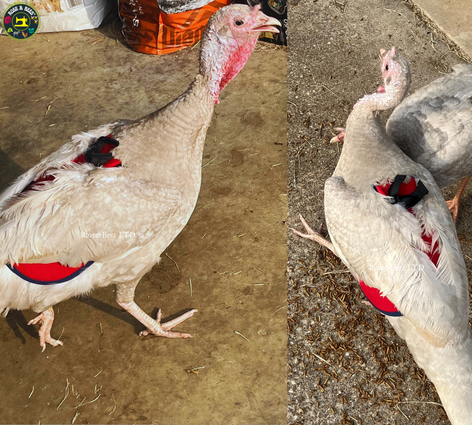 TURKEY SADDLE | BASIC | Fleece | Towel Lined | WATERPROOF CANVAS |POULTRY Mating - Image 23