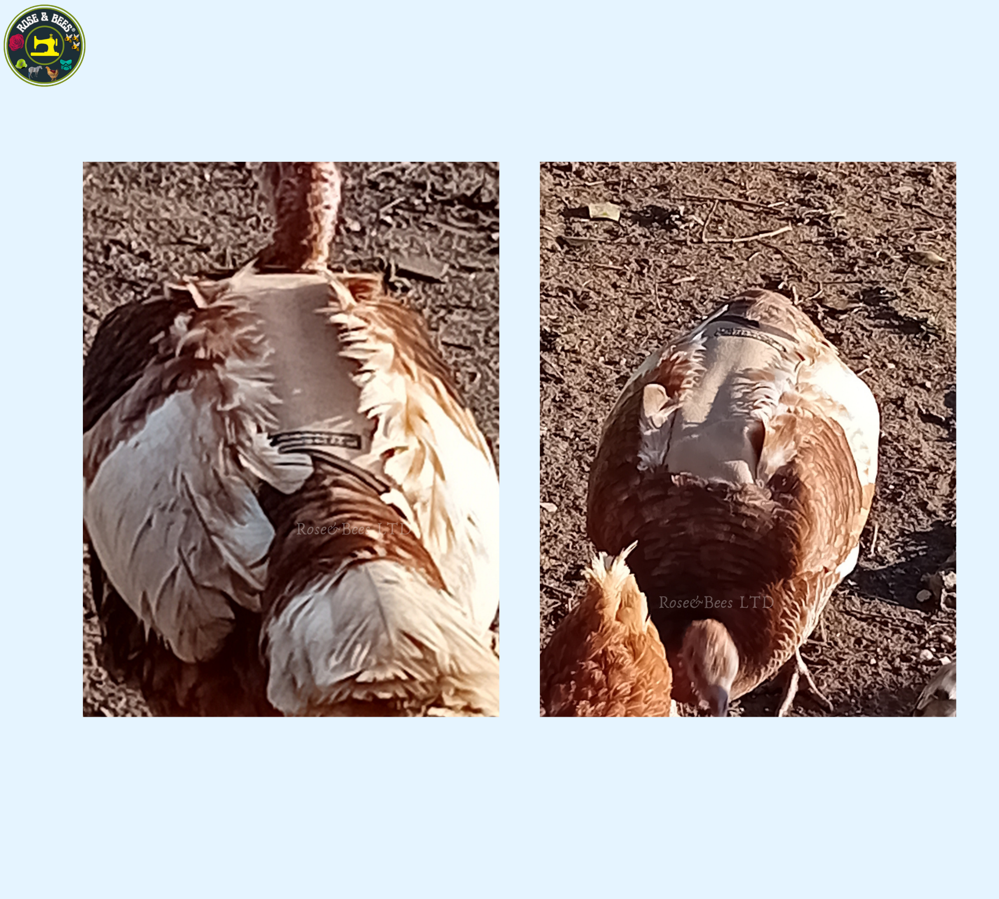 TURKEY SADDLE | BASIC | Fleece | Towel Lined | WATERPROOF CANVAS |POULTRY Mating - Image 24