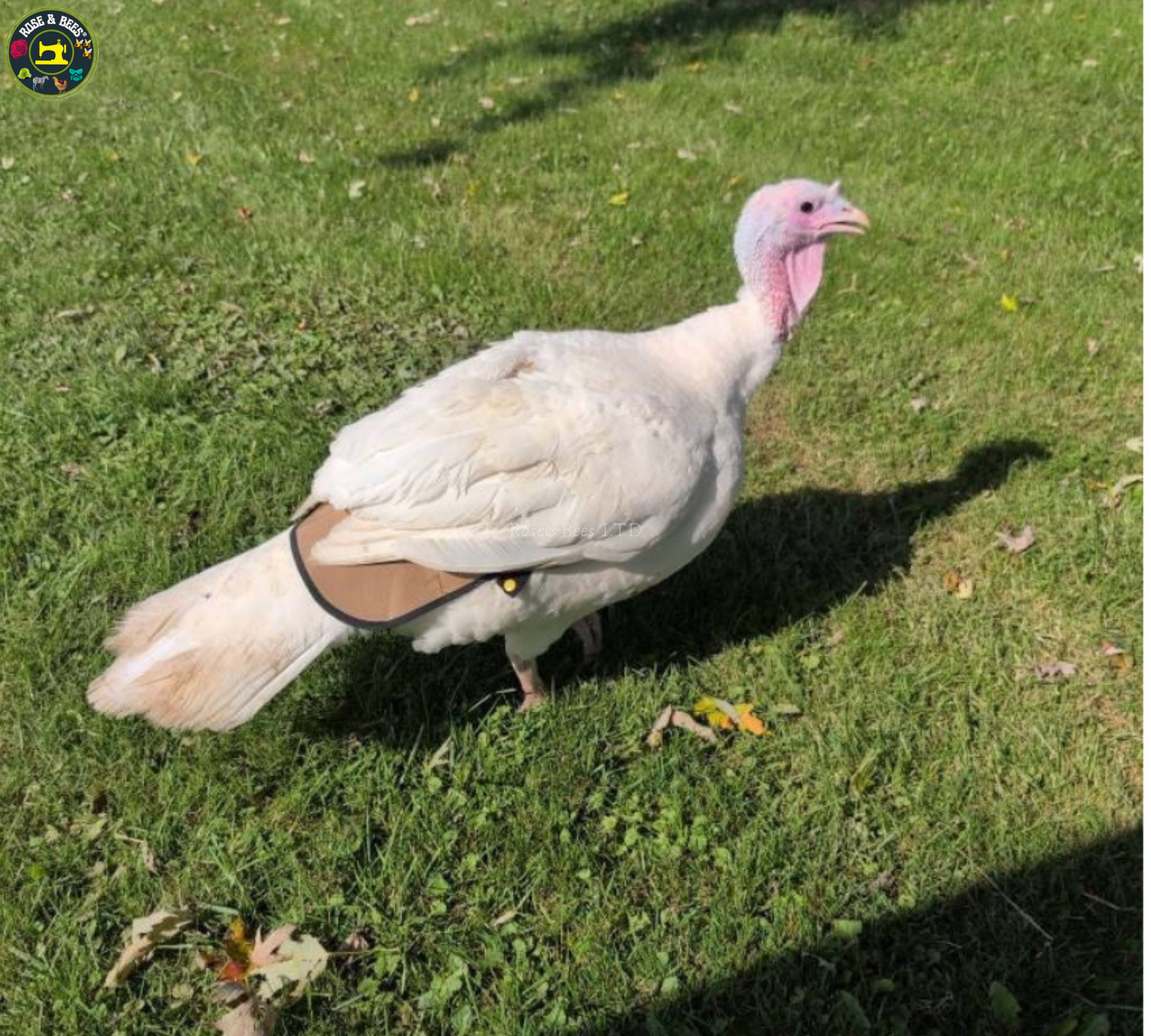 TURKEY SADDLE | BASIC | Fleece | Towel Lined | WATERPROOF CANVAS |POULTRY Mating - Image 25