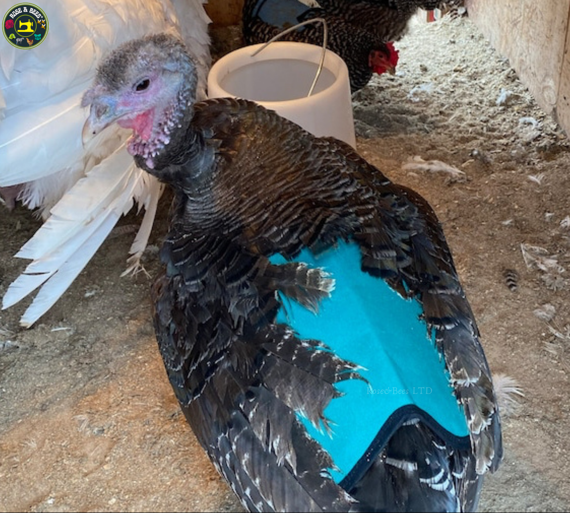 TURKEY SADDLE | BASIC | Fleece | Towel Lined | WATERPROOF CANVAS |POULTRY Mating - Image 26