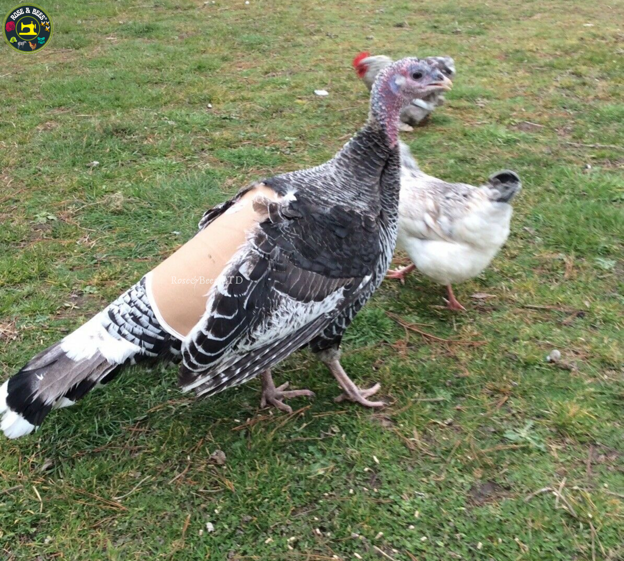TURKEY SADDLE | BASIC | Fleece | Towel Lined | WATERPROOF CANVAS |POULTRY Mating - Image 27