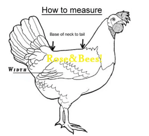 CHICKEN SADDLE | Hen Apron | WIDE | Large Poultry | Waterproof | Egg Layer | Elasticated Jacket | Hen Feather Protector | Bantams orpington - Image 7