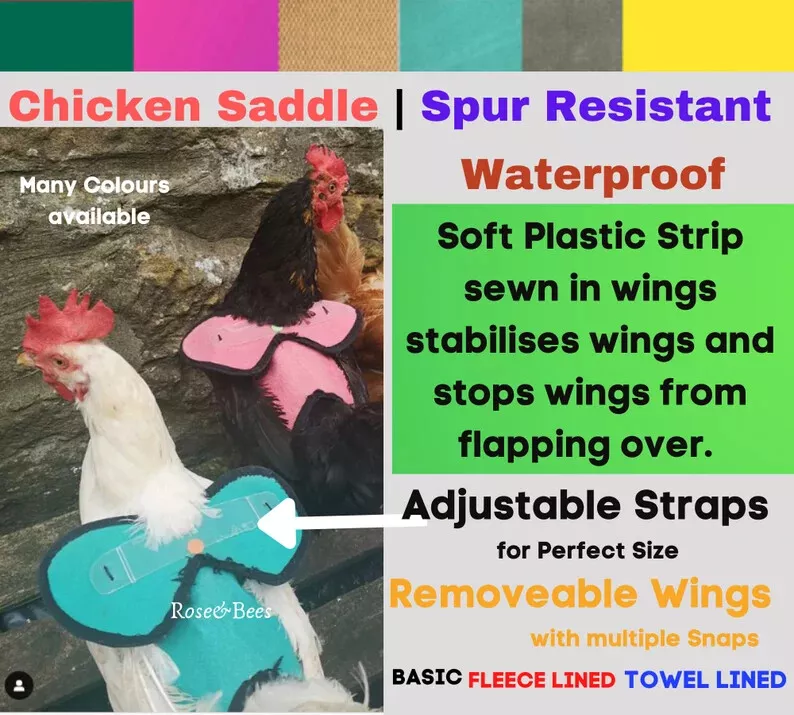Chicken Saddle Wings Belly Strap Apron Hen protector Adjustable | rose & bees , hen saddle , poultry