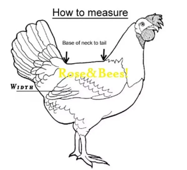 Chicken Saddle Adjustable Straps W Snaps Hen Apron Feather Protector Jacket Wing - Image 5