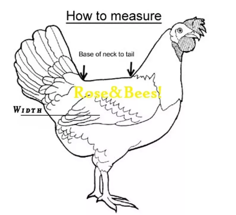 Chicken Saddle Adjustable Straps W Snaps Hen Apron Feather Protector Jacket Wing - Image 5