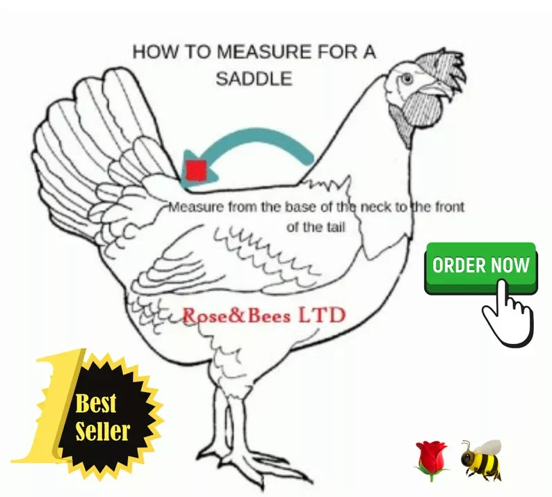 Fleece-Lined Chicken Saddle | Hen Protector | Poultry Apron | Wing & Tail Guard | HandCrafted | CHICKEN SADDLE | FLEECE Lined Poultry Apron wings| Tail Protection | Egg Layer - Image 3
