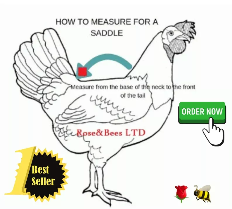 Chicken Saddle Wings Belly Strap Apron Hen protector Adjustable | rose & bees , hen saddle , poultry